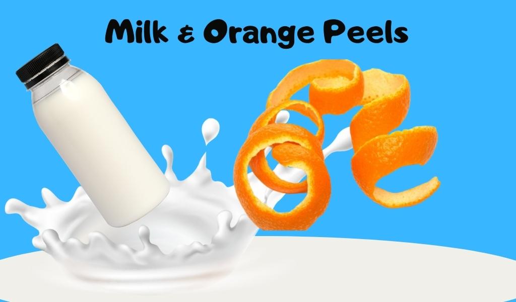 Milk and Orange Peels