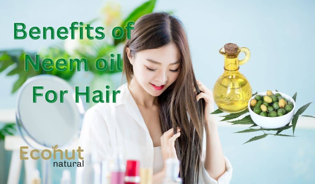 benefits of neem oil for hair care