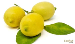 Citrus-limon1
